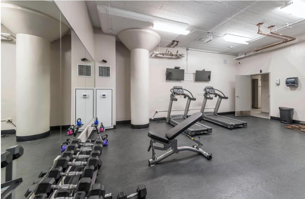 Modern 2BR in South Loop Near Soldier Field, Grant Park, Downtown, &amp; Lakefront Trail的健身中心和&#47;或健身设施