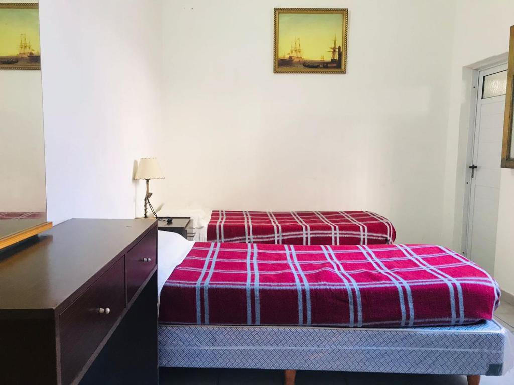 布宜诺斯艾利斯Hotel Piamonte的一间卧室配有一张床和一个带紫色毯子的梳妆台。