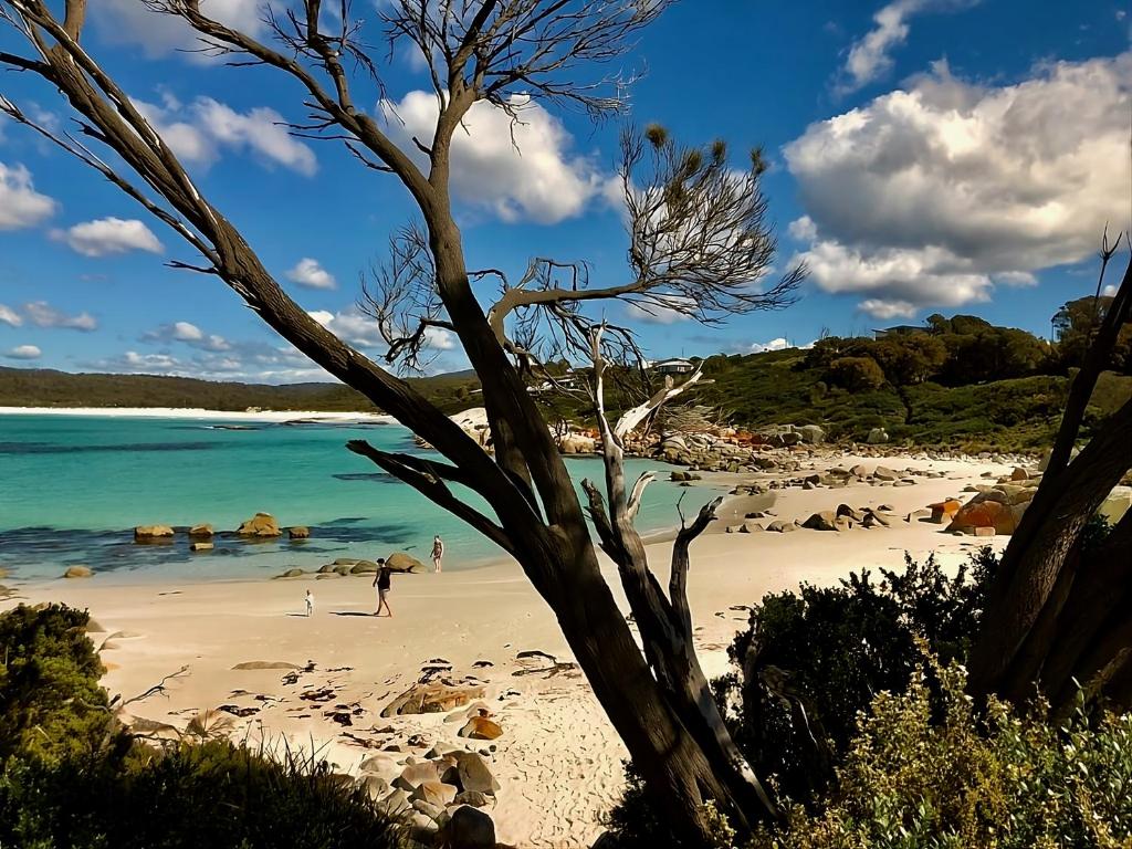 比那隆湾Bay of Fires Tiny Home的一个人在海边的海滩上行走