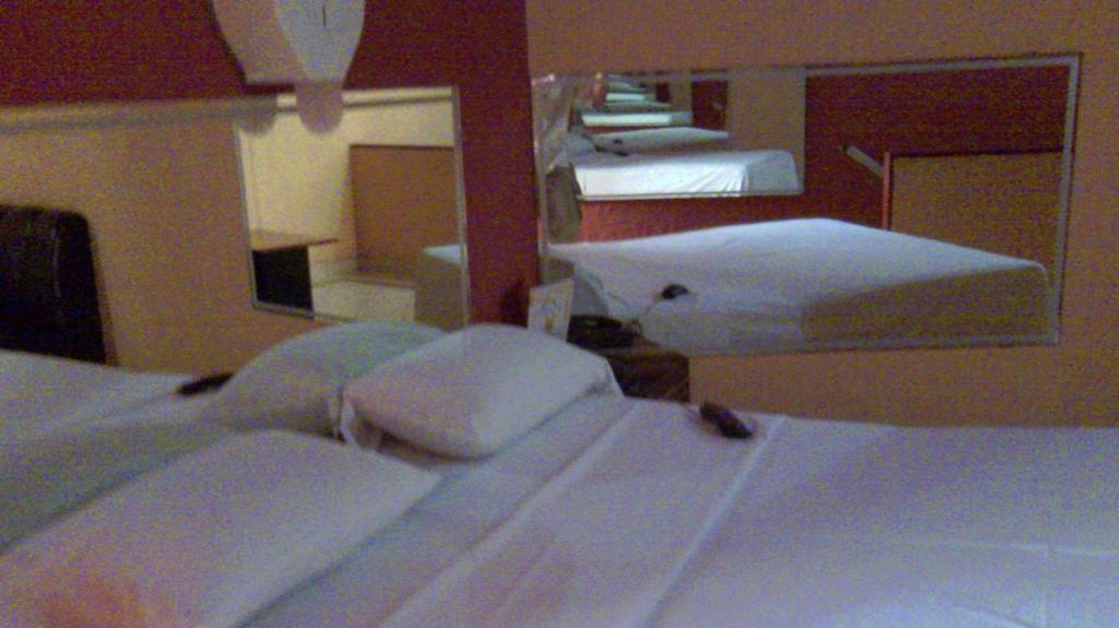 圣何塞CALLE 36的一间卧室配有两张白色的床和镜子