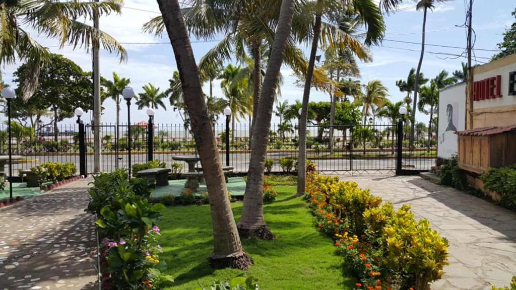 格拉纳达艾马耳他酒店的种有棕榈树和鲜花的公园