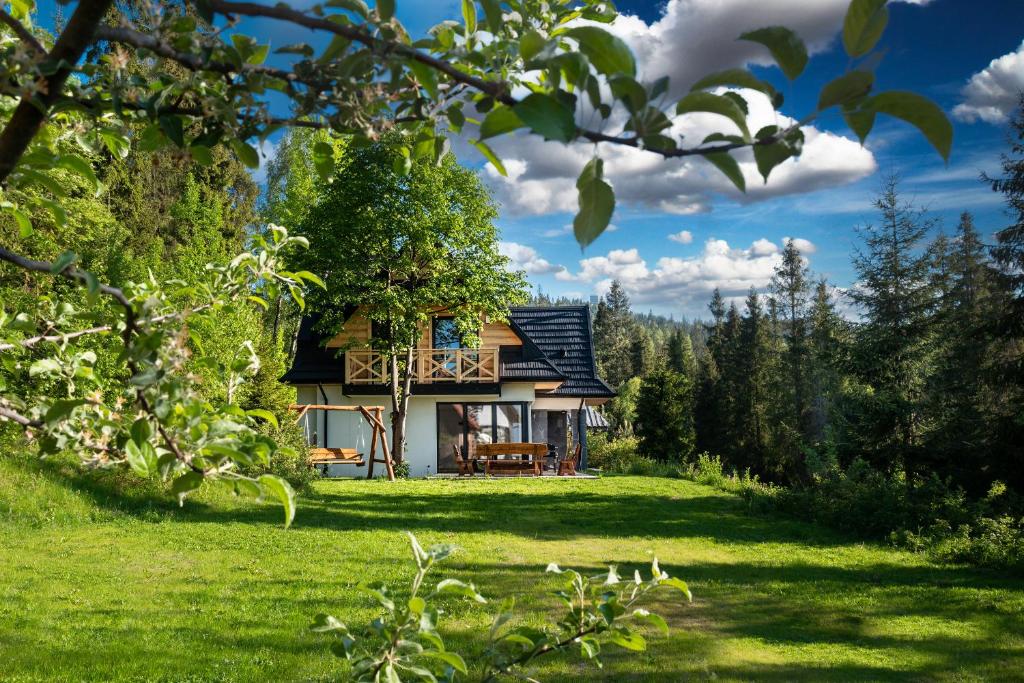 新塔尔格Jankówki - Dom w górach的绿色田野上黑色屋顶的房子
