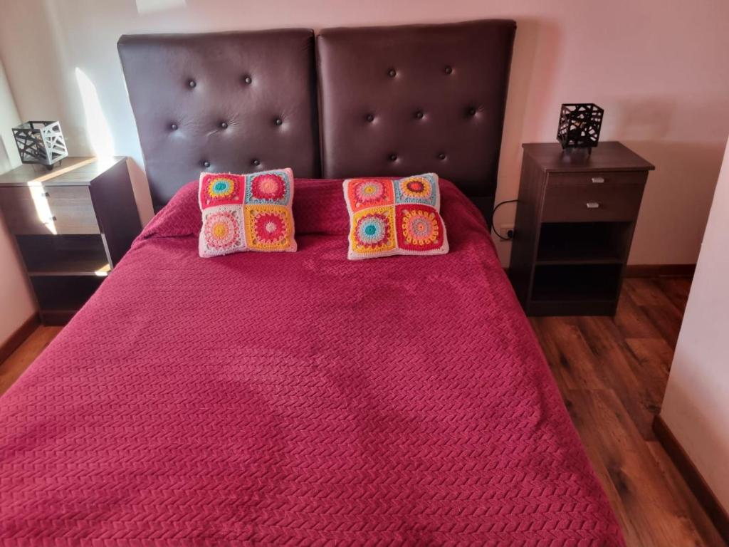 乌斯怀亚Cabaña Ceferino Ushuaia的一间卧室配有一张带粉色毯子的大床