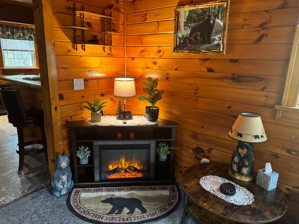 Long LakeThe Lazy Bear Cabin的小木屋内带壁炉的客厅