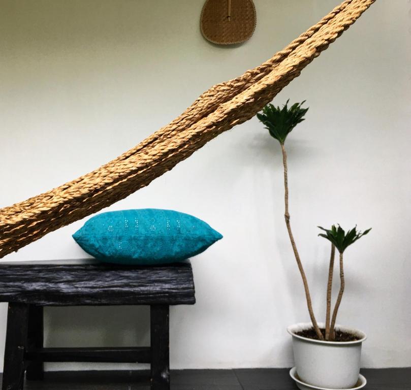 清迈Su Kho Rom always home ศุโขรมย์ - Adults Only的两个植物旁边的长凳上的枕头