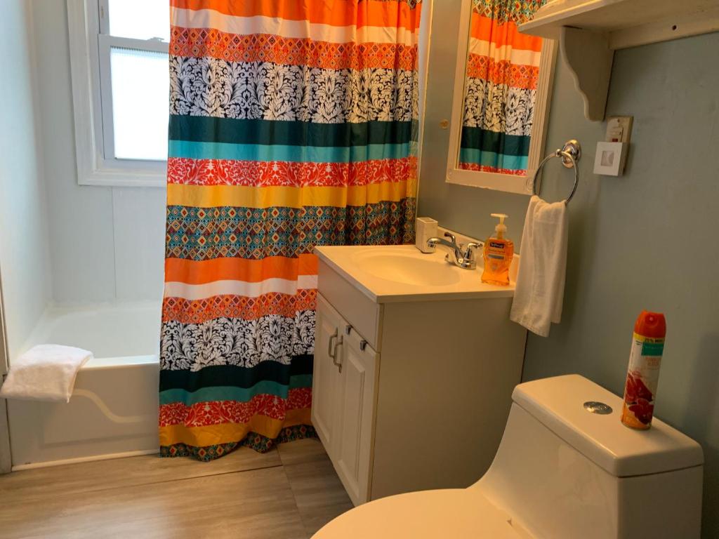 奇科皮Cozy 2nd Floor Apartment With Private Entrance的浴室设有色彩缤纷的浴帘和卫生间