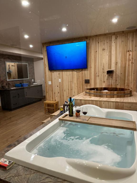 坎莫尔Luxury suite with Sauna and Spa Bath - Elkside Hideout B&B的浴室内设有一个蓝色屏风的大浴缸