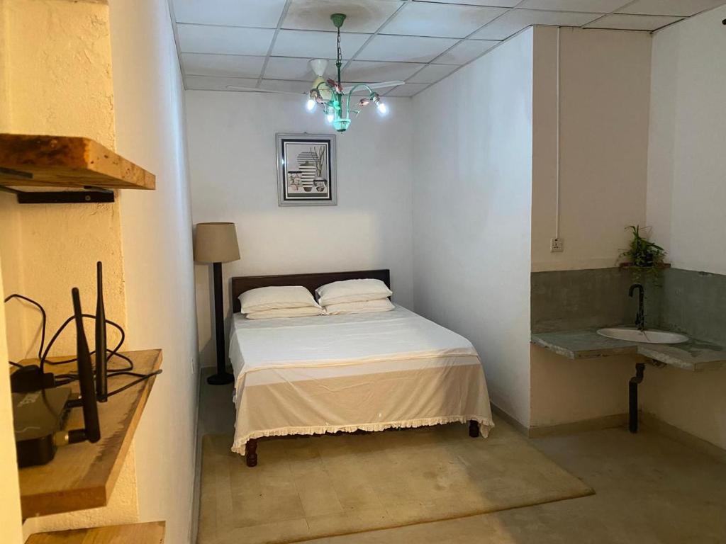 科伦坡Suji's Villa的一间卧室配有一张床和一个水槽