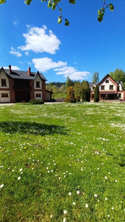 图库姆斯Vāgnera parks的一片绿草,在房子前面有白色的花