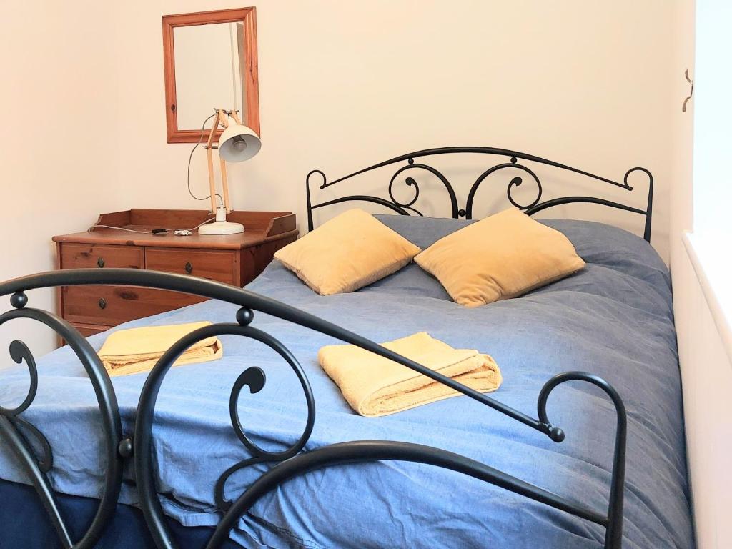 惠灵顿Charming 1 bedroom self-contained flat.的一间卧室配有一张带蓝色床单和黄色枕头的床。