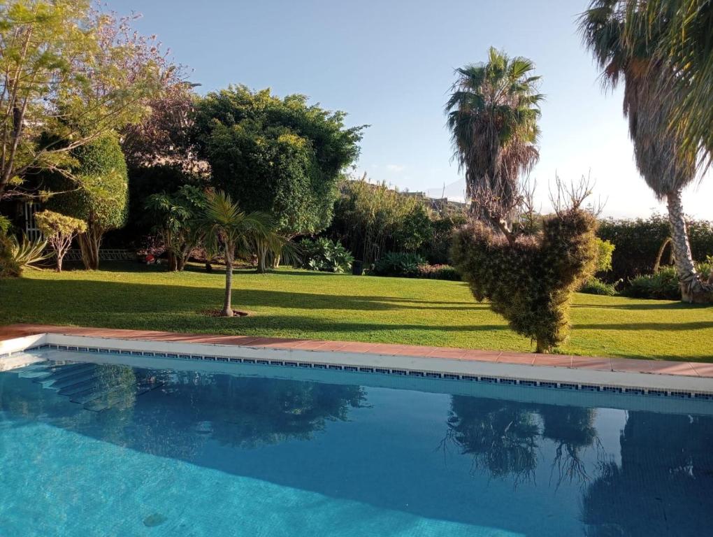 绍萨尔Villa Carioca - with private pool, marvelous garden and amazing ocean view的棕榈树庭院内的游泳池