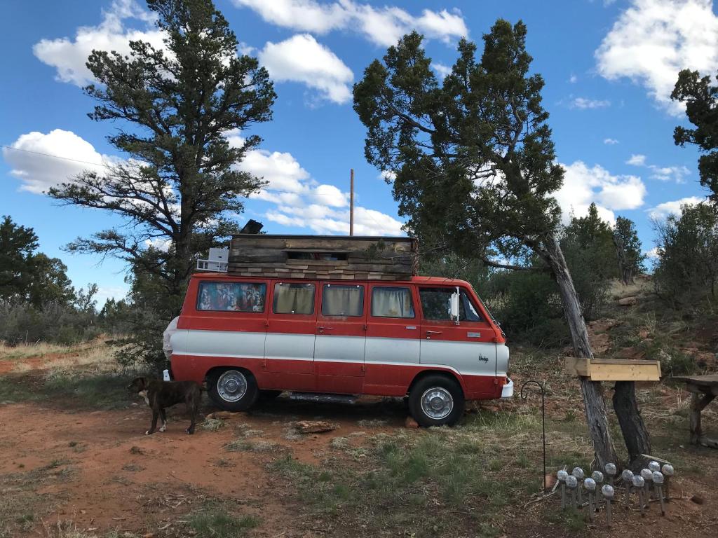 VerdureIndian Canyon Ranch的一辆红色和白色的货车停在一个有山羊的田野里