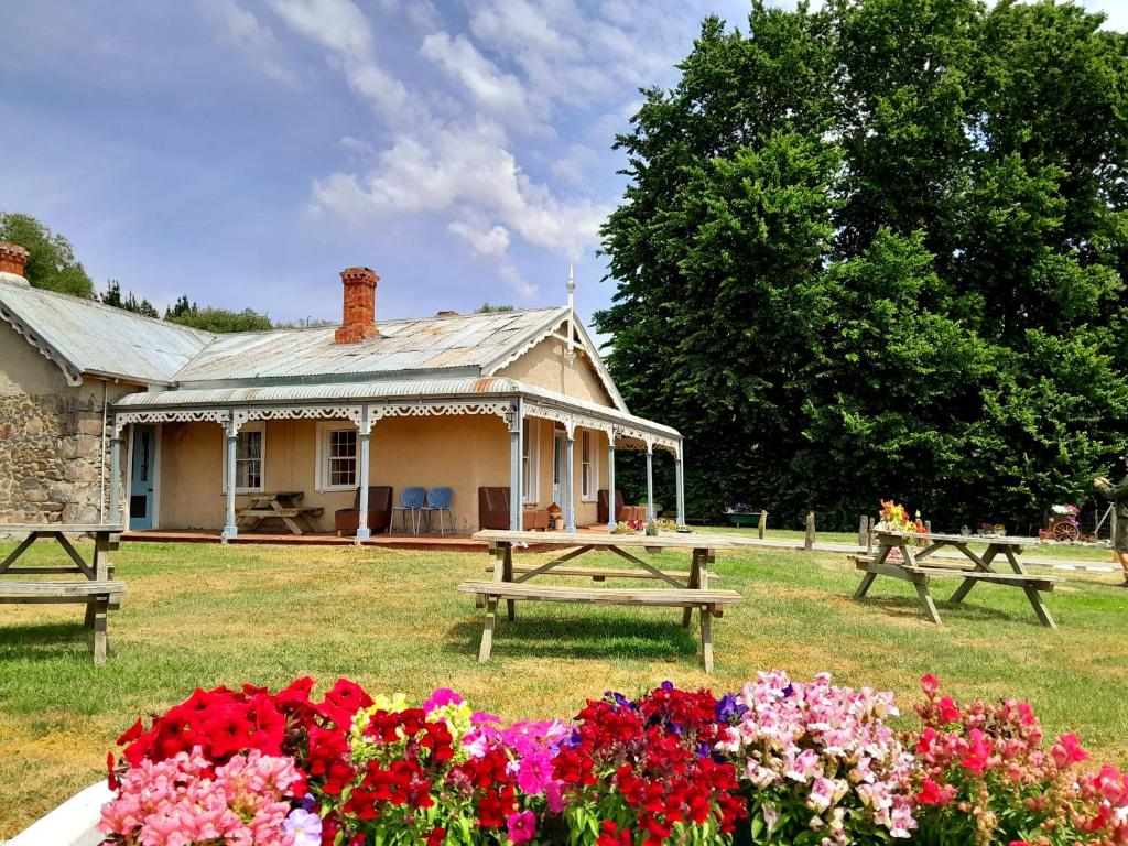 WaipiataPeter's Farm Lodge的前面有长椅和鲜花的房子