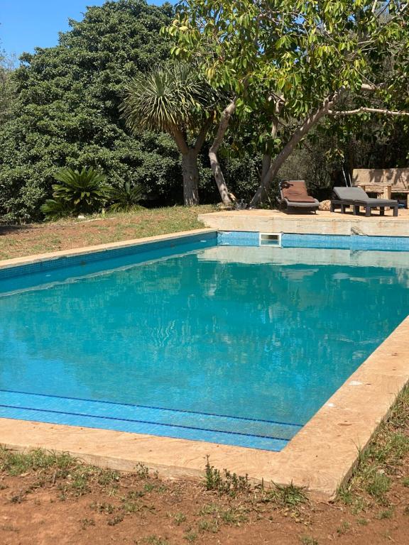 桑坦伊Studio Doppelzimmer 2 Pers mit Terrasse und Pool auf Finca Mallorca的庭院里的一个蓝色海水游泳池