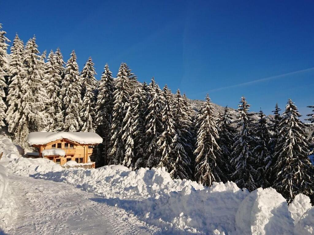希帕赫Romantic Chalet Waldschlössl的树林旁的雪地小木屋