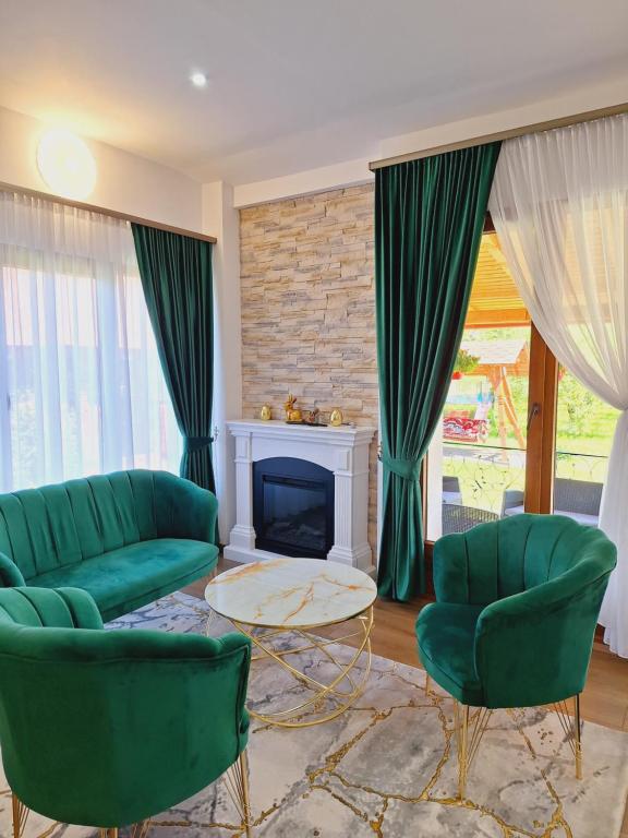 瓦杜伊泽Pensiunea Casa Ancuta的客厅配有绿色家具和壁炉