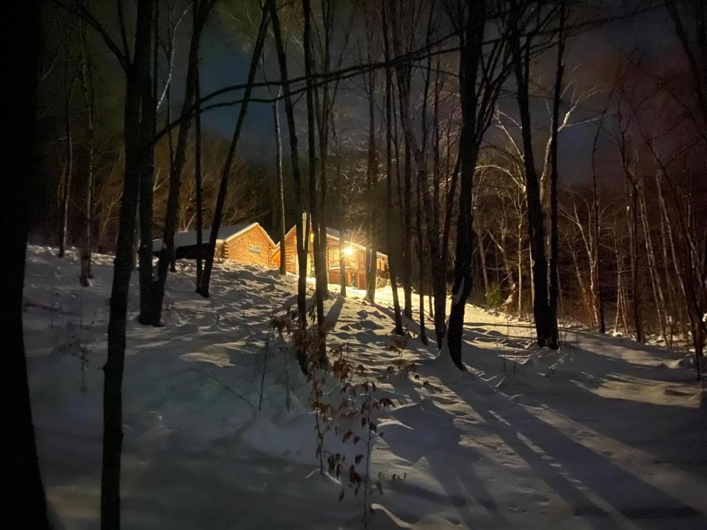 SandgateCabin in the Woods的夜晚雪中的一个小屋