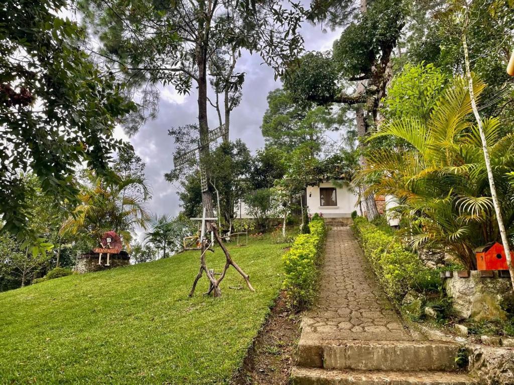 TupulcánCabaña Vista Verde的花园,花园设有通往房屋的路径