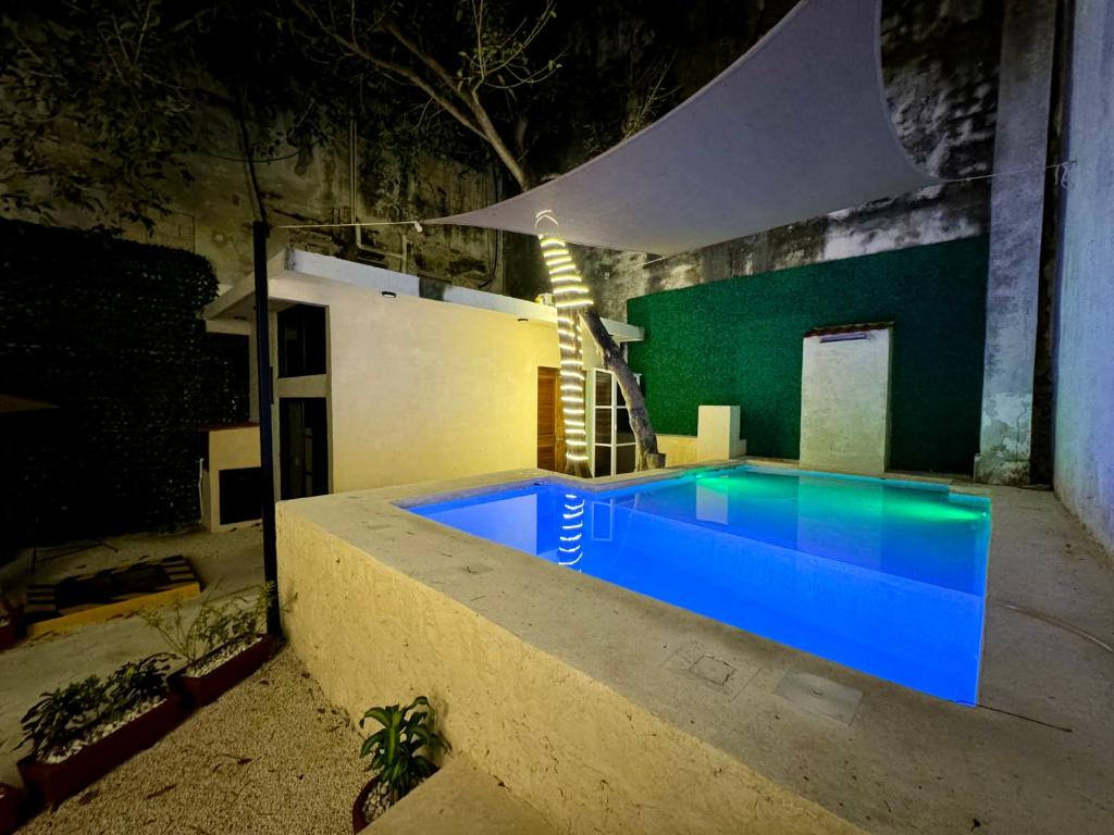 科苏梅尔Casa vishami的夜间在房子里的一个游泳池