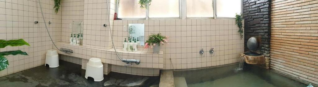 妙高Myoko Ski Lodge in Akakura Village的一间带卫生间和水池的浴室