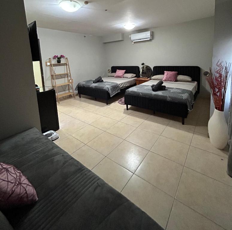 Toys suites hotel客房内的一张或多张床位