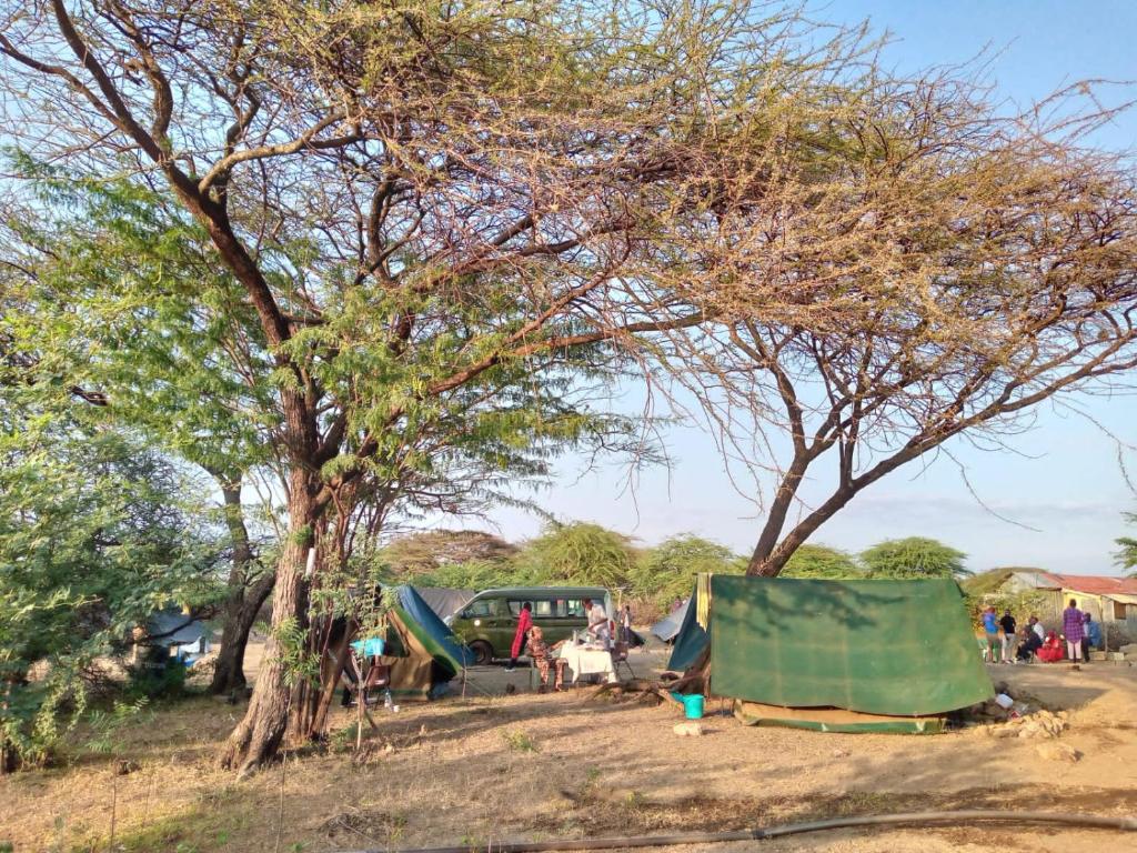 Ol KokwePopo Camp Lake Baringo的一群人坐在树下和帐篷里