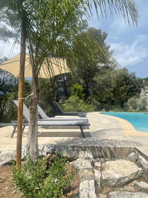 罗科福尔雷潘La villa des Carriers- maison avec piscine proche mer的海滩上设有两把躺椅和一棵棕榈树