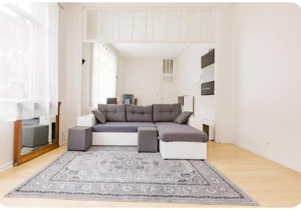 里尔Lille près du CHU Lille的带沙发和地毯的客厅