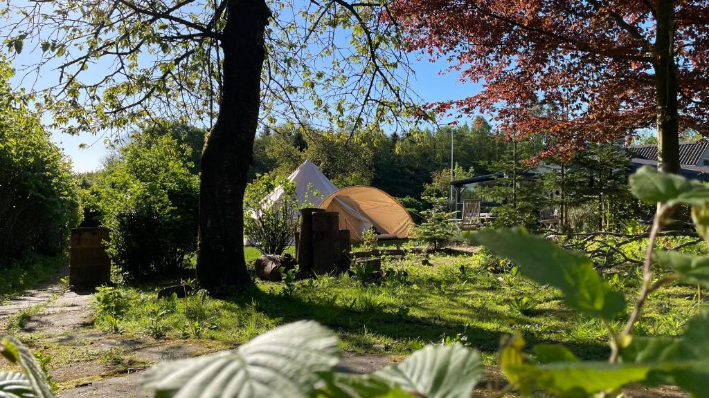 斯文堡Cozy Garden Glamping的草木林地的帐篷