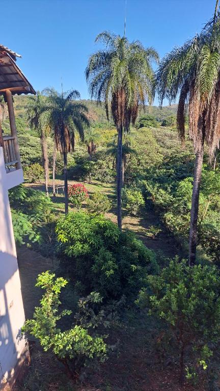 圣安娜杜里亚舒Pousada Sempre Luz的享有棕榈树和灌木丛的田野景色