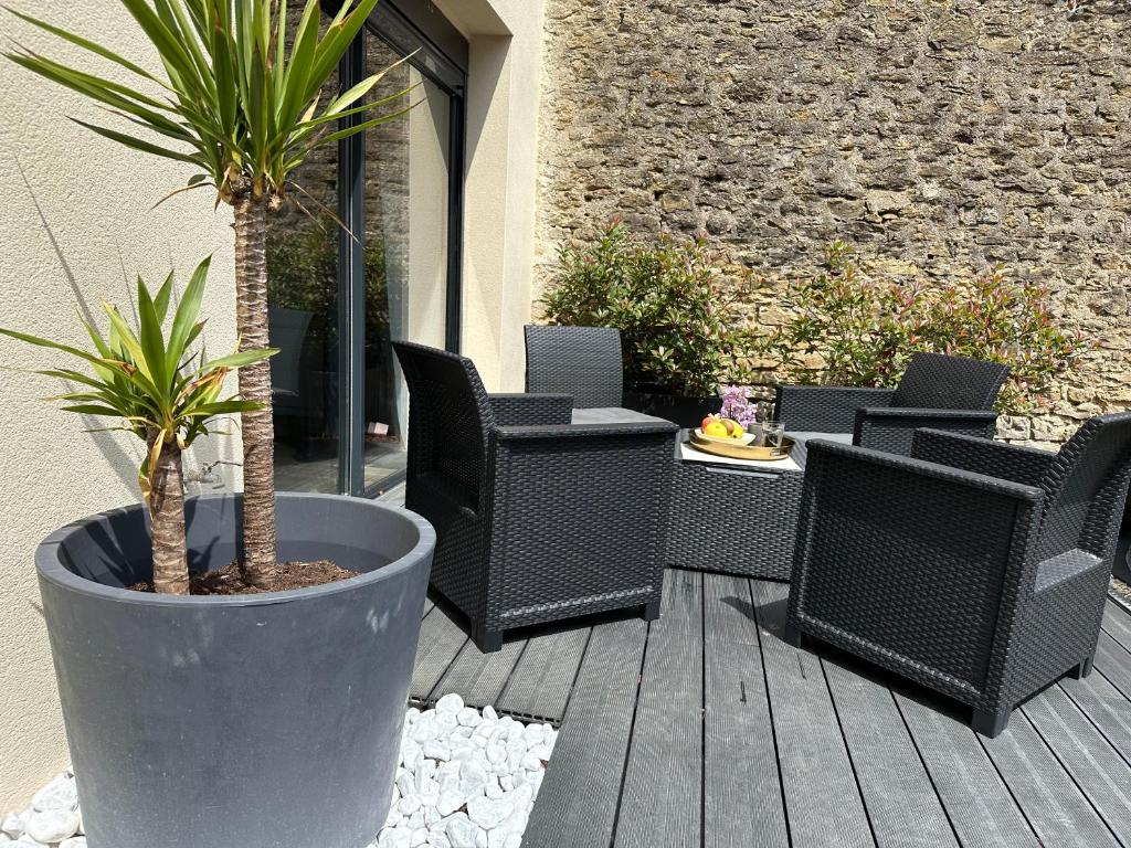 Saint-Georges-sur-BaulcheMaison design de 190m2的庭院里放着一组椅子和盆栽植物