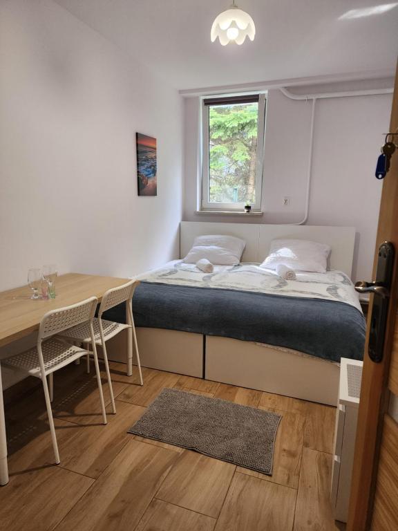 热舒夫Przytulne pokoje u Julii的一间卧室配有一张床、一张书桌和一个窗户。