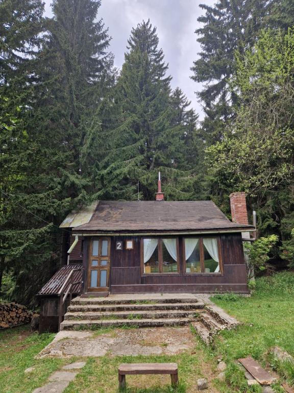 HriňováChata na Poľane的森林中间的小房子