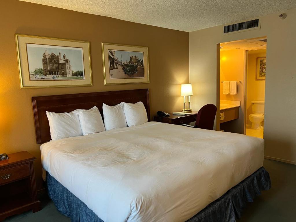 卡森市哈德曼宾馆的一间酒店客房,配有一张白色大床