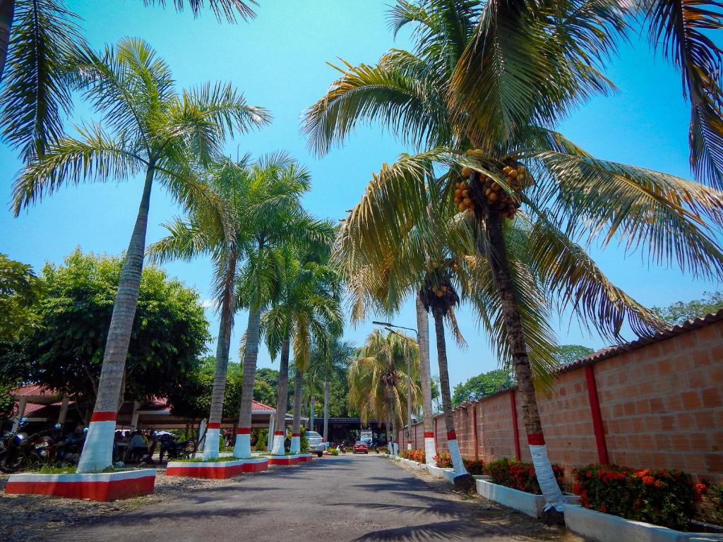 比亚维森西奥Hotel campestre las palmas的一条在路边种有棕榈树的街道