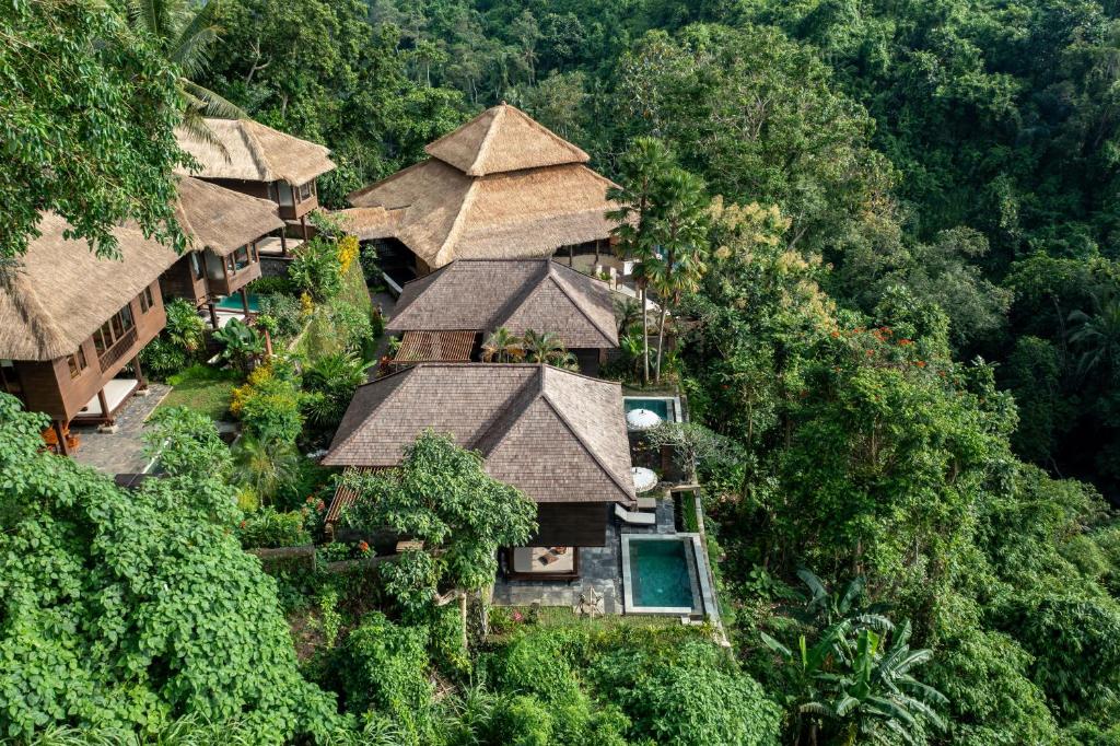 乌布巴厘岛乌布别墅酒店的丛林中度假村的空中景观