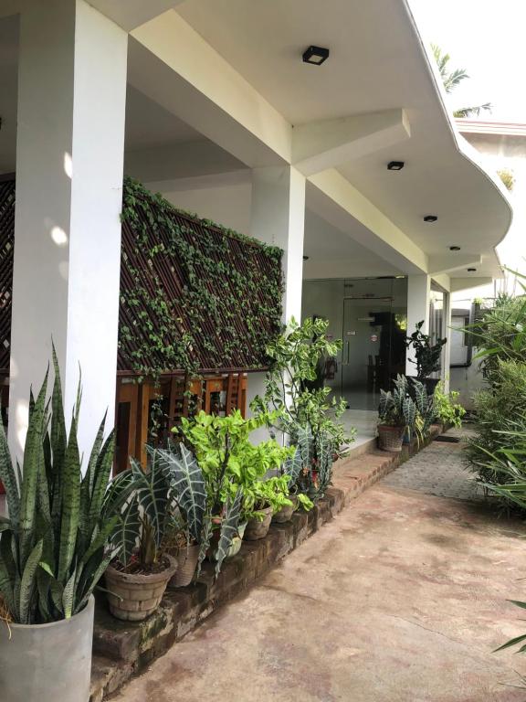 波隆纳鲁沃Senanayaka Holiday Inn的建筑物边一排盆盆栽植物