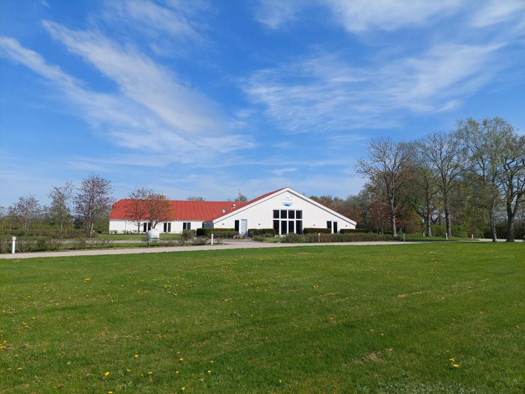 莱斯Læsø Efterskole的田野上带红色屋顶的大型白色谷仓