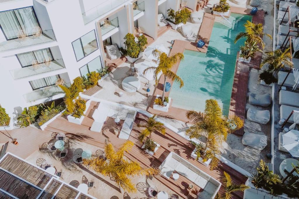 圣埃乌拉利亚Nativo Hotel Ibiza的享有酒店棕榈树游泳池的顶部景致