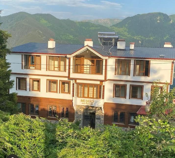 MackaMEŞEİÇİ BUTiK HOTEL的山丘上一座大房子,背景是群山