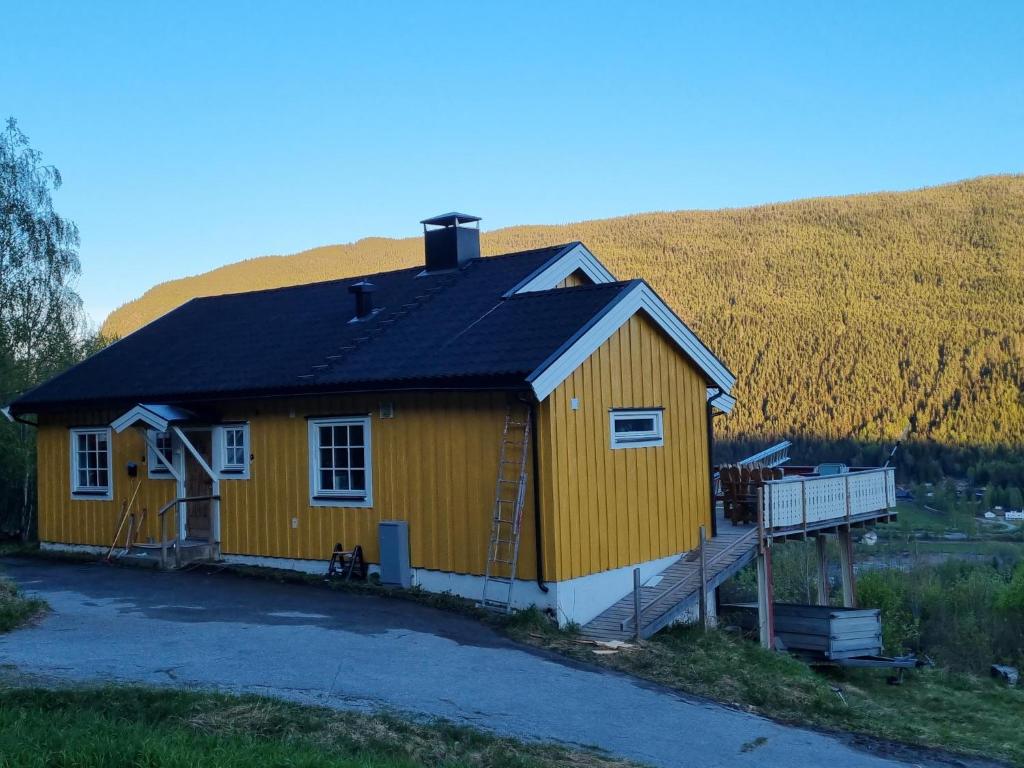 TorpoSolhaug的田野上带黑色屋顶的黄色房子