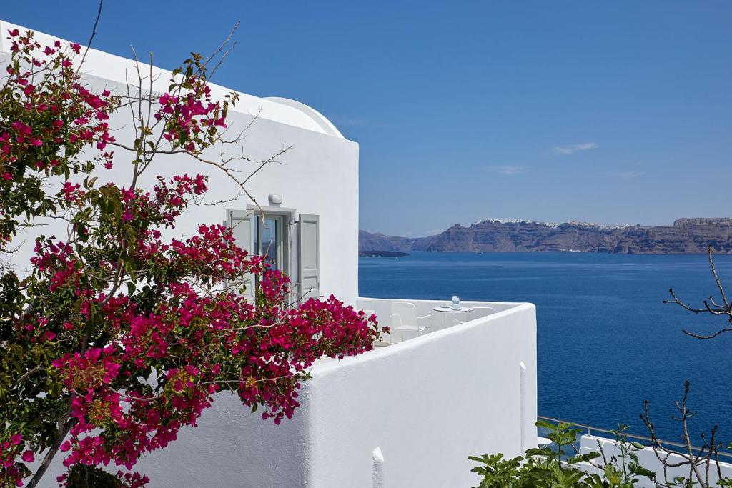 阿克罗蒂里Santorini View的白色的建筑,享有水景