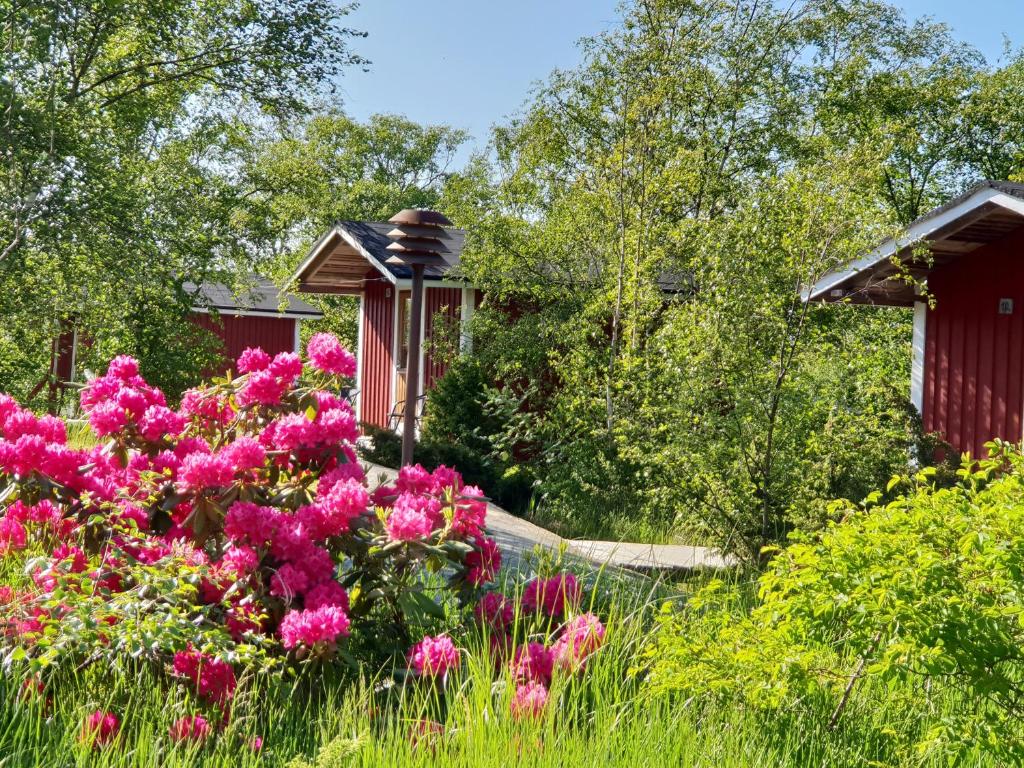 KökarKökar Havspaviljong Cottages的一座种有粉红色花卉和凉亭的花园