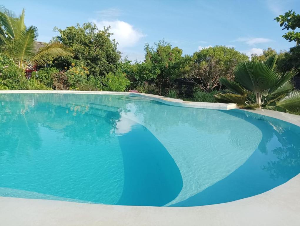 马特姆维Matemwe Ocean View Villas的一个种有树木的大型蓝色游泳池