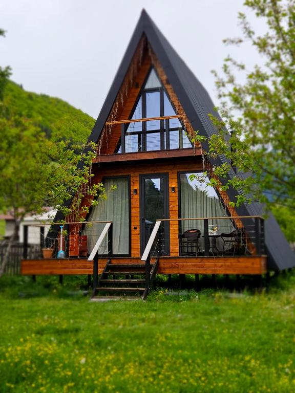 梅斯蒂亚B&B Cottage in Mestia的绿色田野上带黑色屋顶的小房子