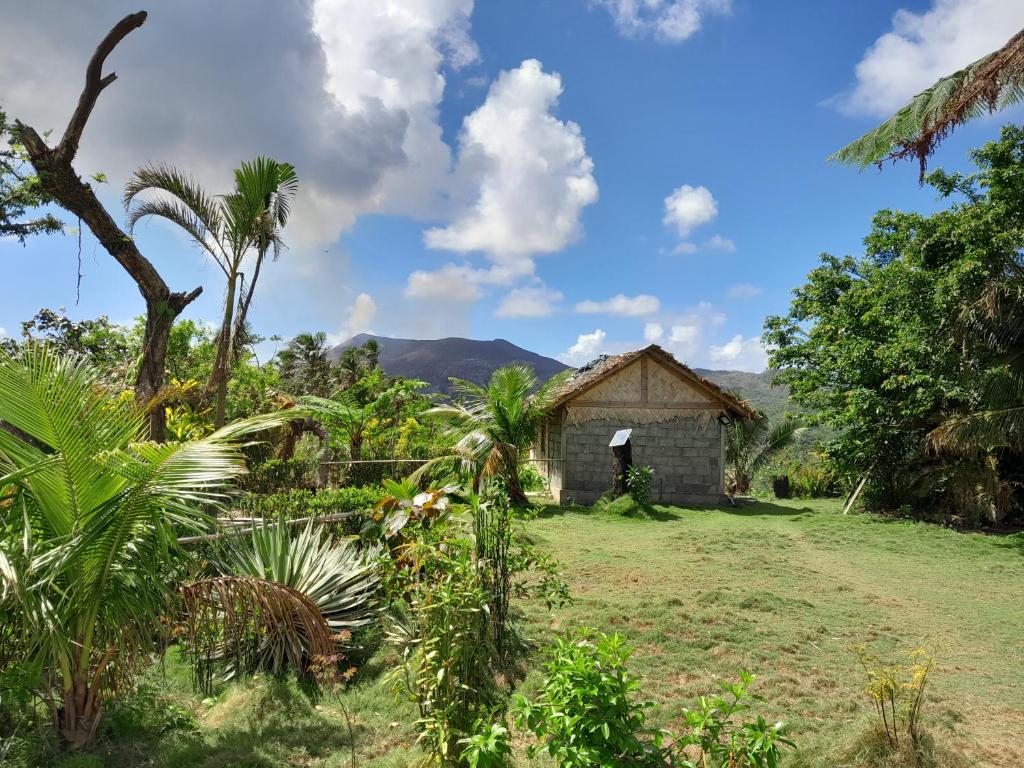 White SandsYasur View Bungalow and Tree House的树木林立的田野中的房子