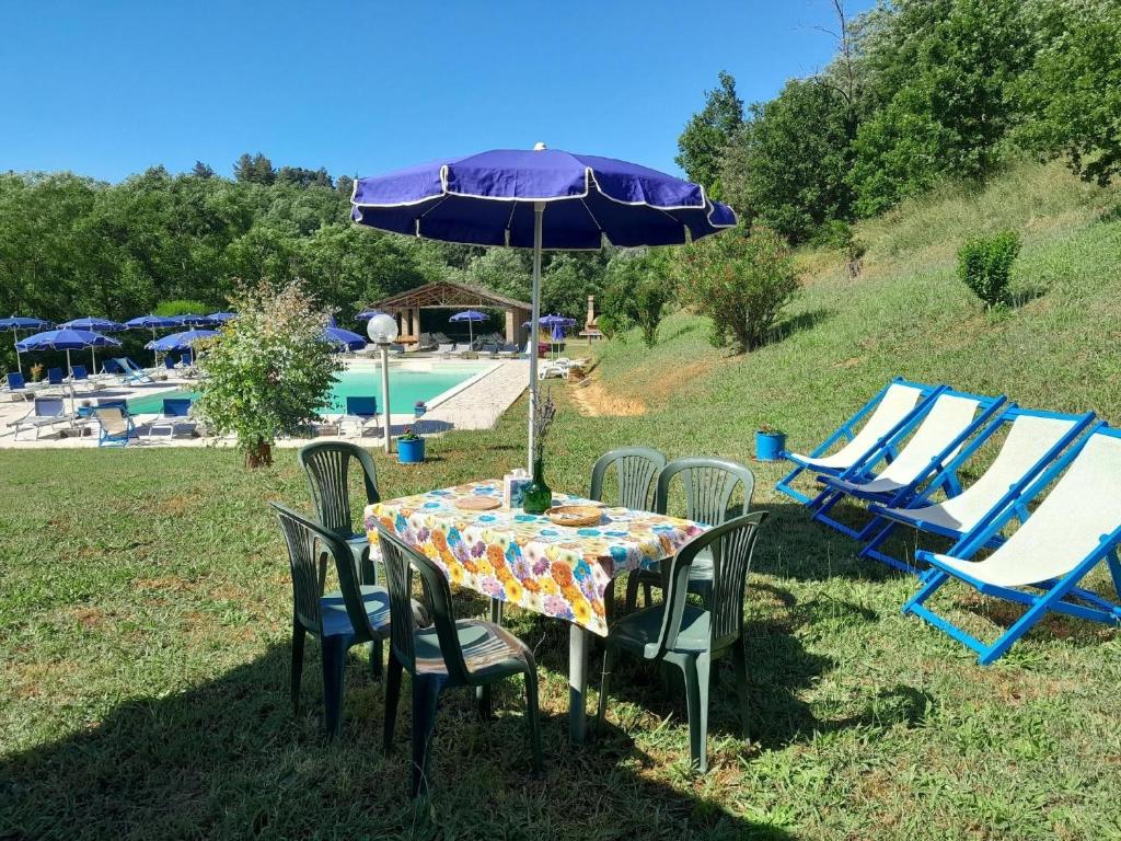 福利亚Ferienwohnung für 3 Personen ca 60 qm in Fauglia, Toskana Etruskische Küste的一张桌子、遮阳伞、椅子和一个游泳池