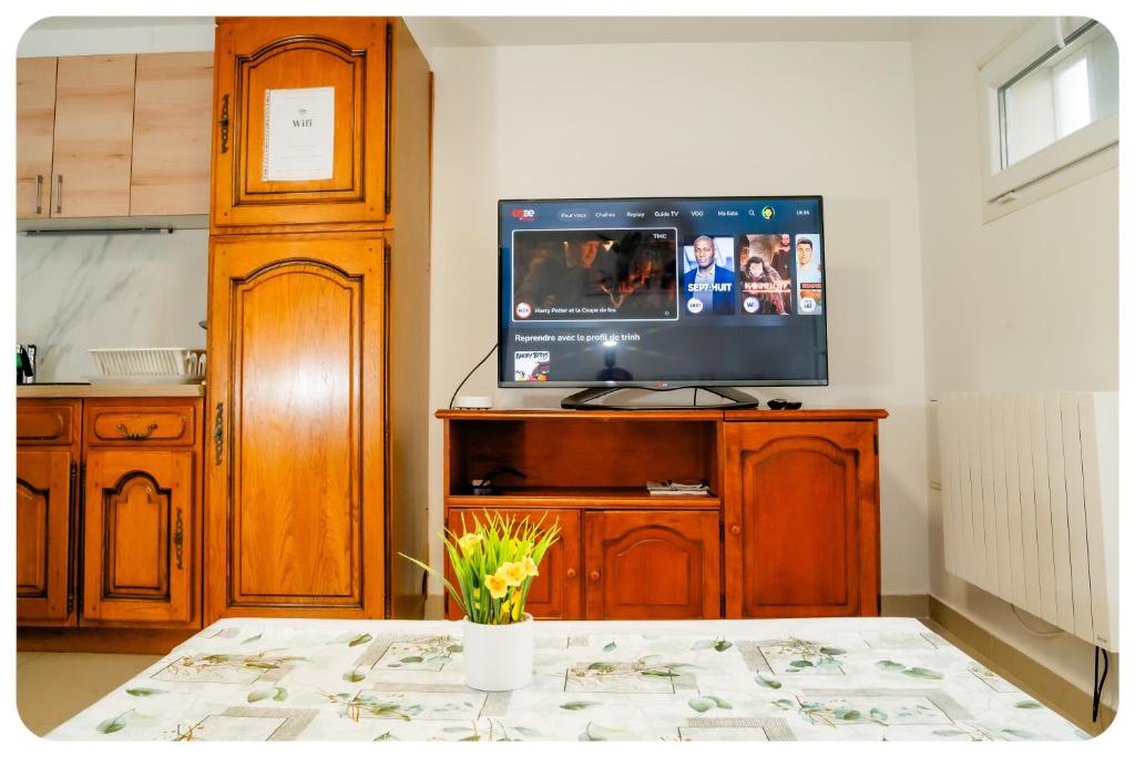 马恩河畔维列Appartement confortable entre Paris et Disney的客厅设有电视,位于木制娱乐中心