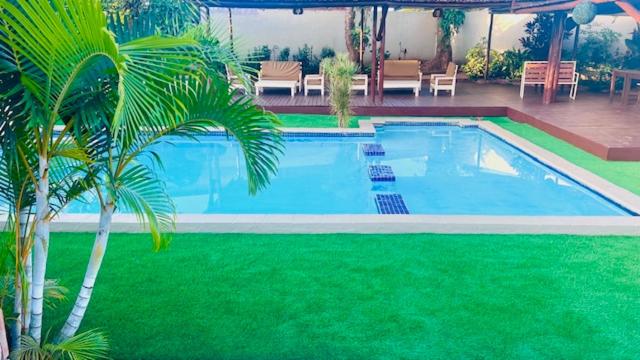 索赫燕杜Lamamie guest house的旁边是一座棕榈树的大型游泳池