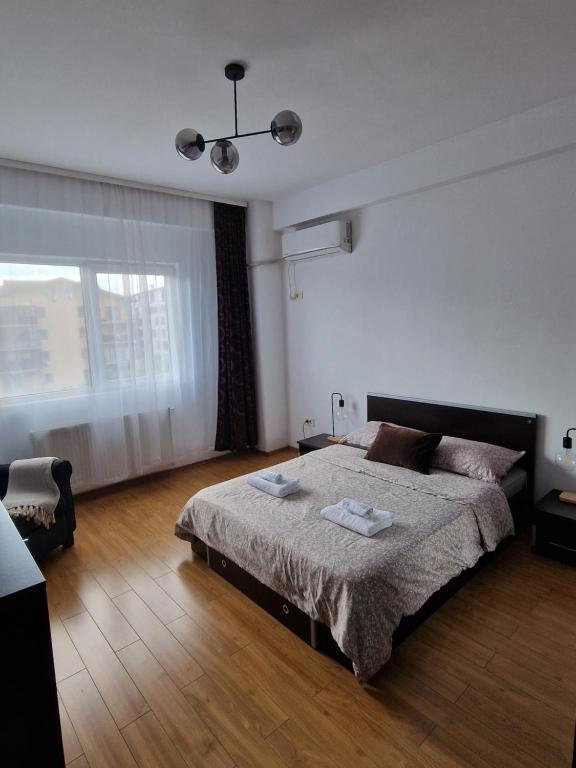 RoşuCosy Spacious Apartment with Parking, Wi-Fi, Smart-TV Netflix的一间卧室设有一张床和一个大窗户